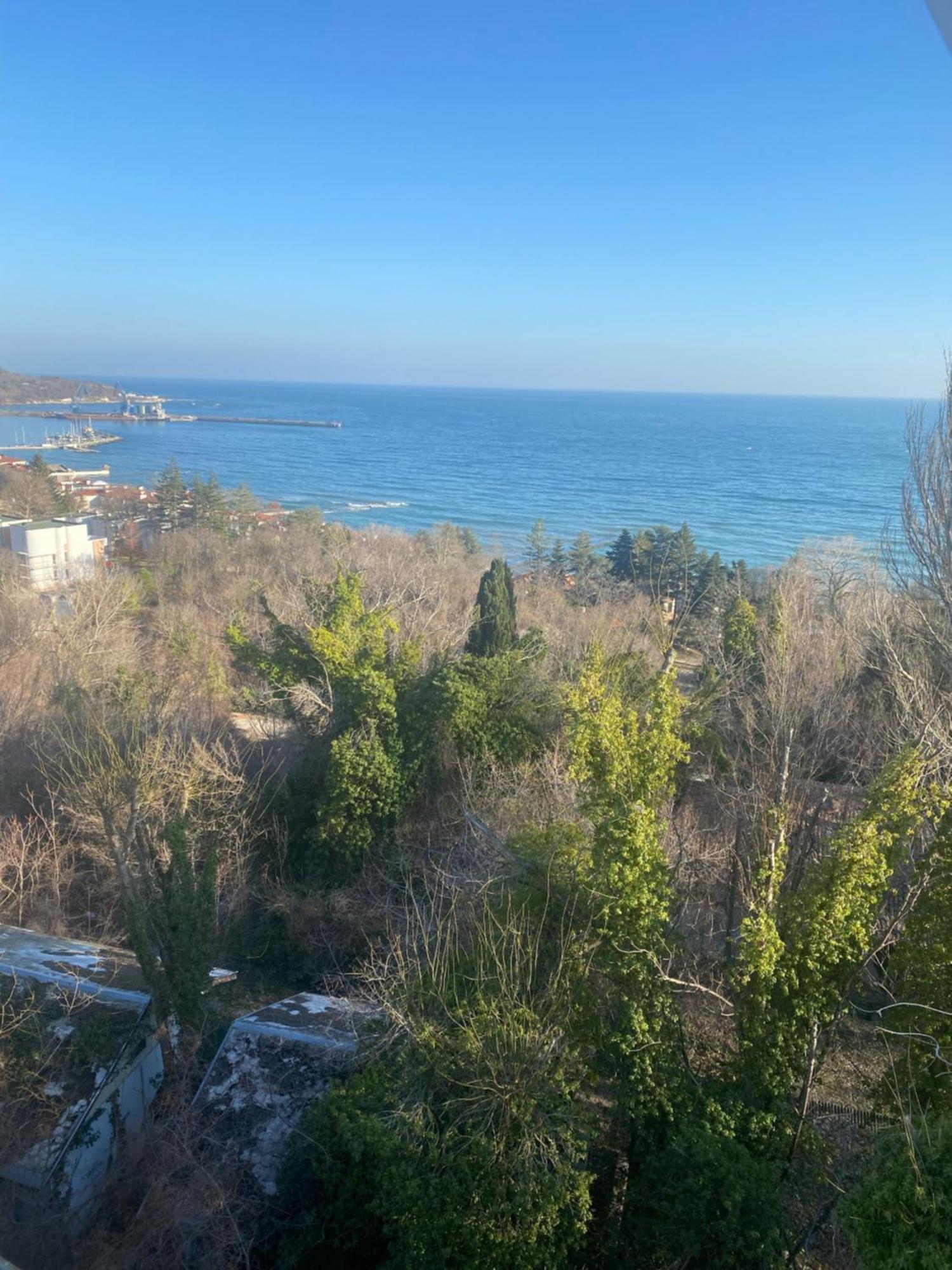 Queen'S Garden Balchik Apartment Bagian luar foto